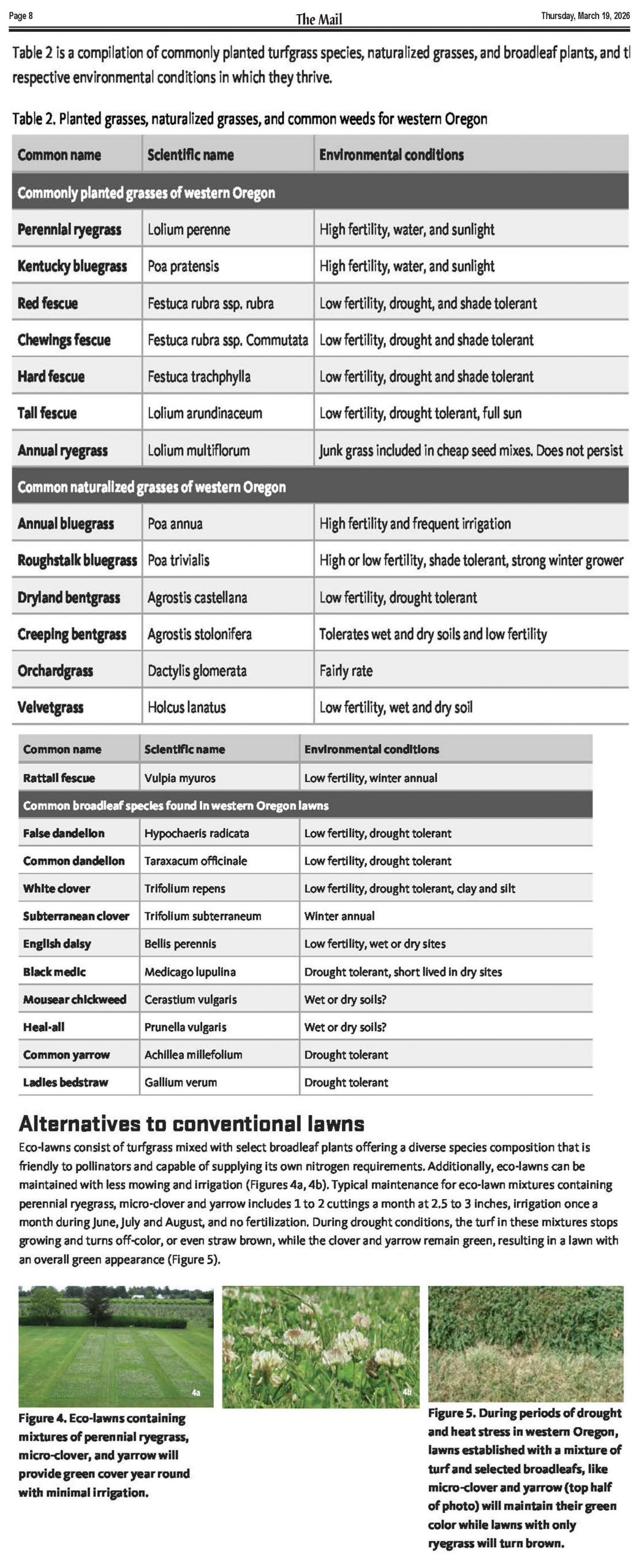 March 19 2026 DC Mail e-edition_Page_08